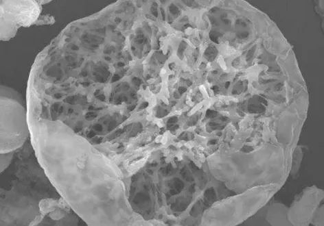 喬雅露聚雙旋乳酸PDLLA晶球-台北喬雅露推薦