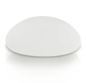 絨毛圓盤-台北女王波